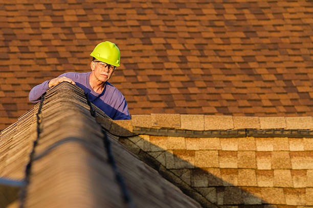 Best Roof Gutter Cleaning  in Goliad, TX